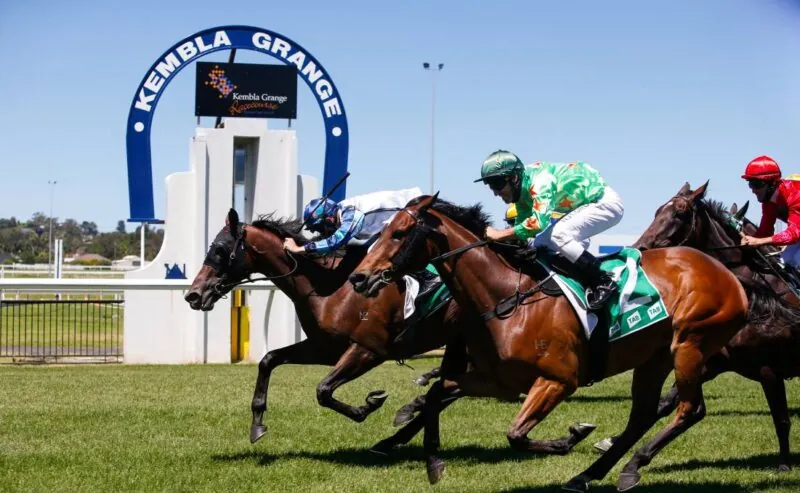 Black Book: Horses You Must Follow From Kembla 22/11 Image