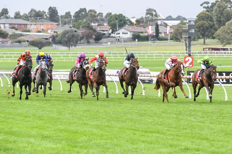 FREE: Sandown Hillside Tip Sheet & Staking Plan: Wednesday 19th March Image