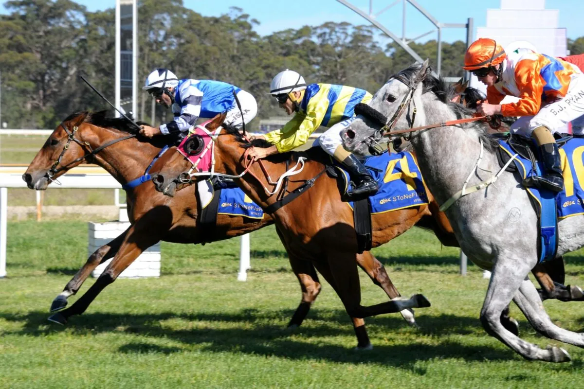 RACING: Tuesday Specials 16/9 Image