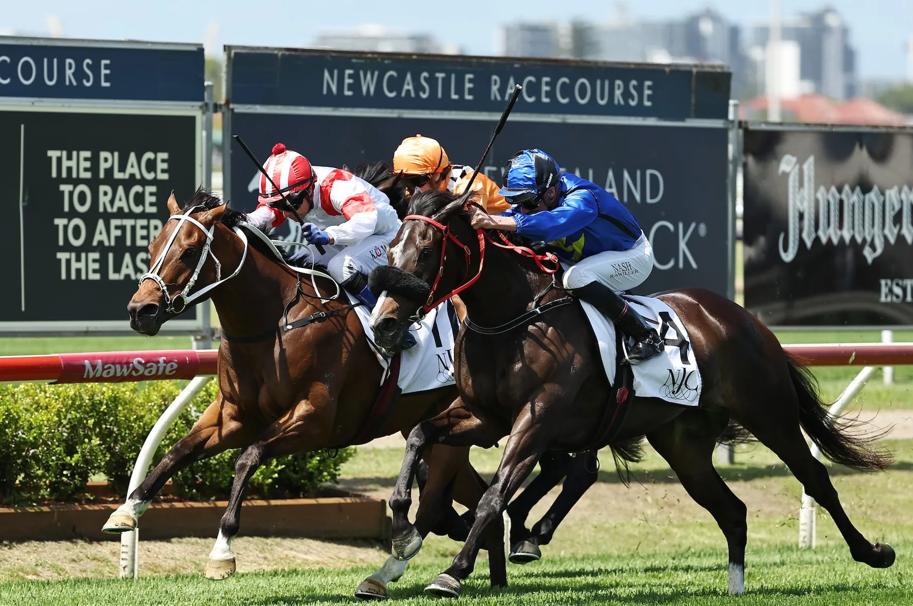 RACING: Newcastle Tips – Saturday 15th November Image