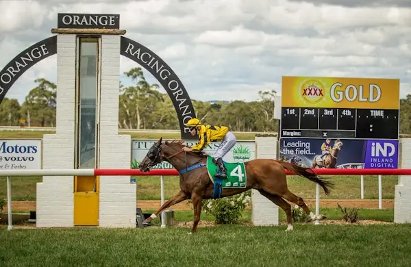 Today’s Racing: Orange Best Selection Image