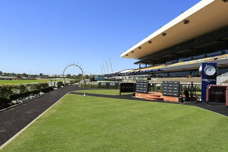 Rosehill Best Selection & Value Play 14/6 Image