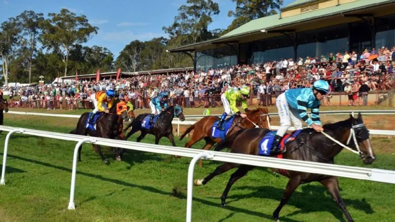 Today’s Racing: Port Macquarie Best Selection Image
