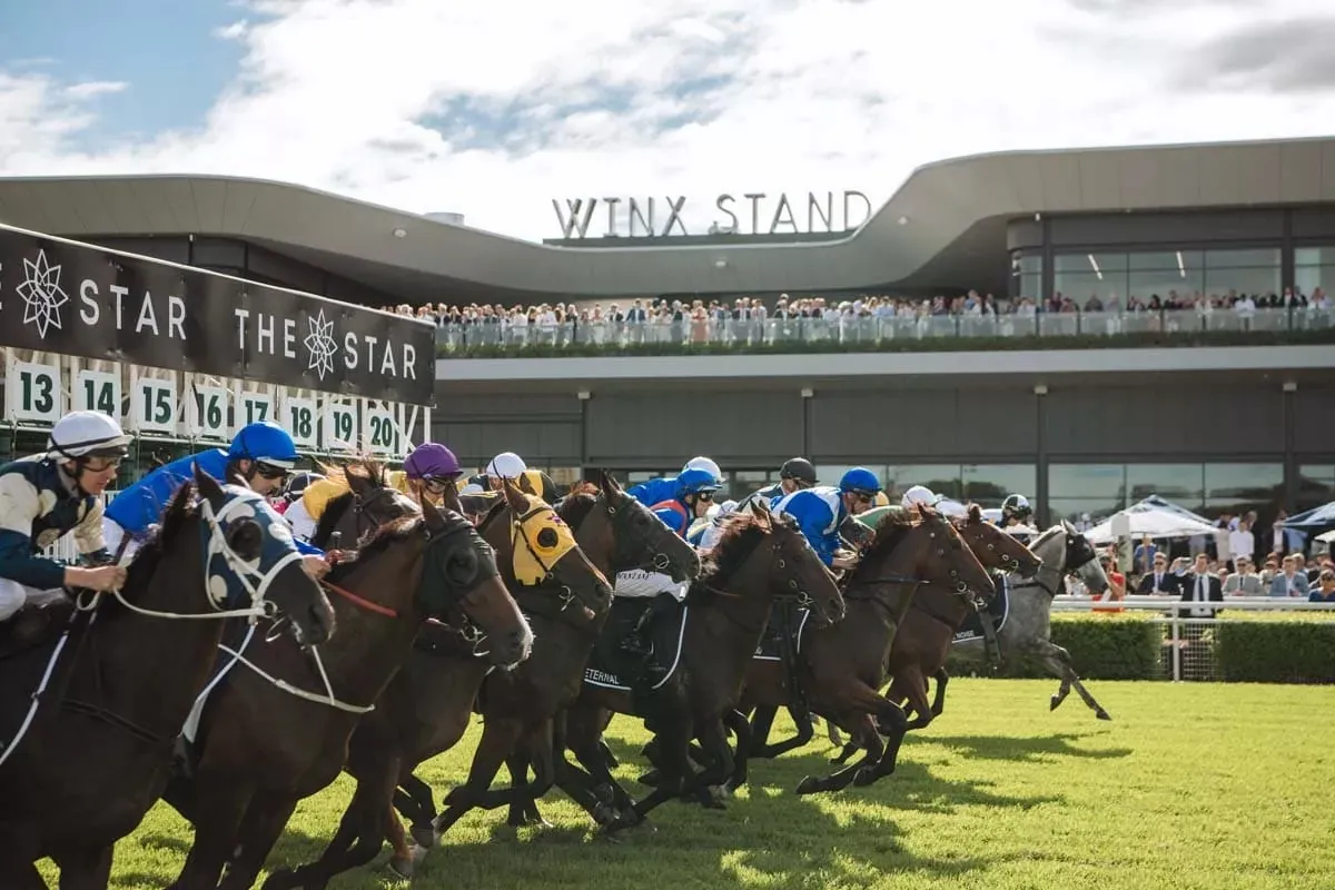 Racing Market Movers: Which Horses Have Been Backed This Saturday 20/9 Image