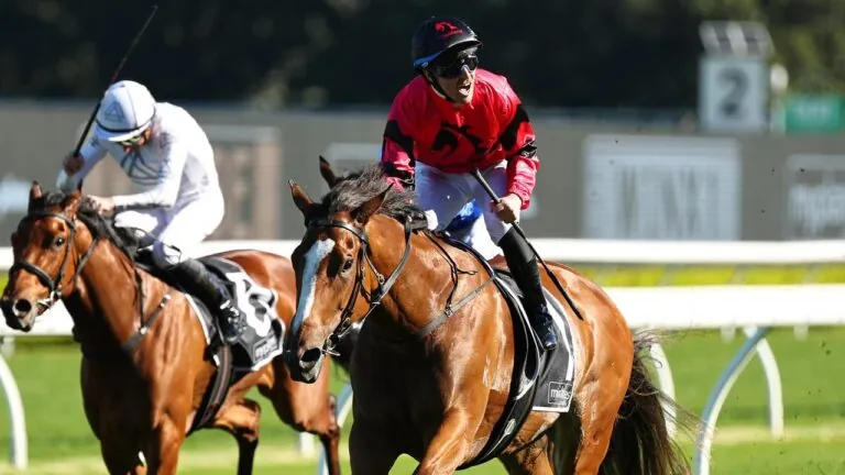Racing Market Movers: Which Horses Have Been Backed This Saturday 4/10 Image