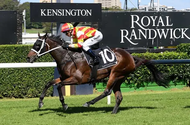 Racing Market Movers: Which Horses Have Been Backed This Saturday 12/7 Image