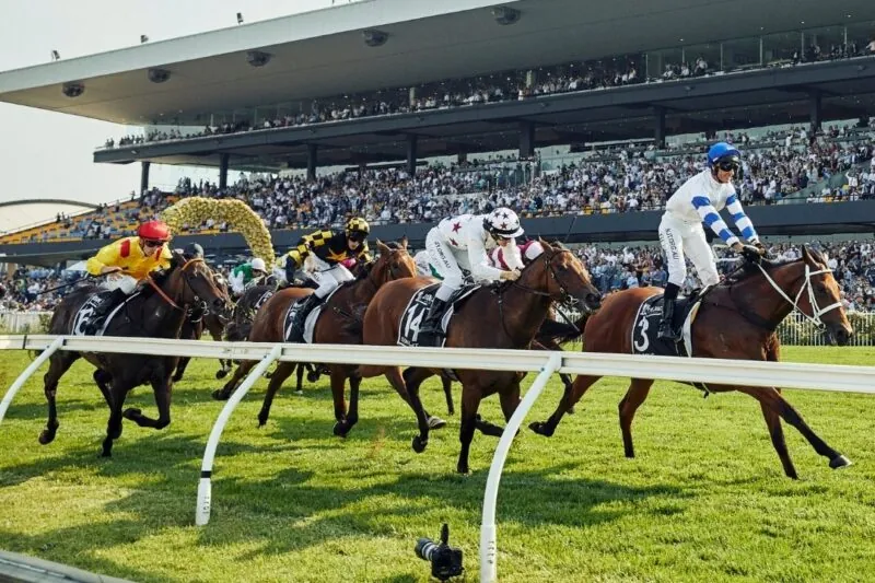 RACING: Rosehill Tips – Saturday 11th October Image