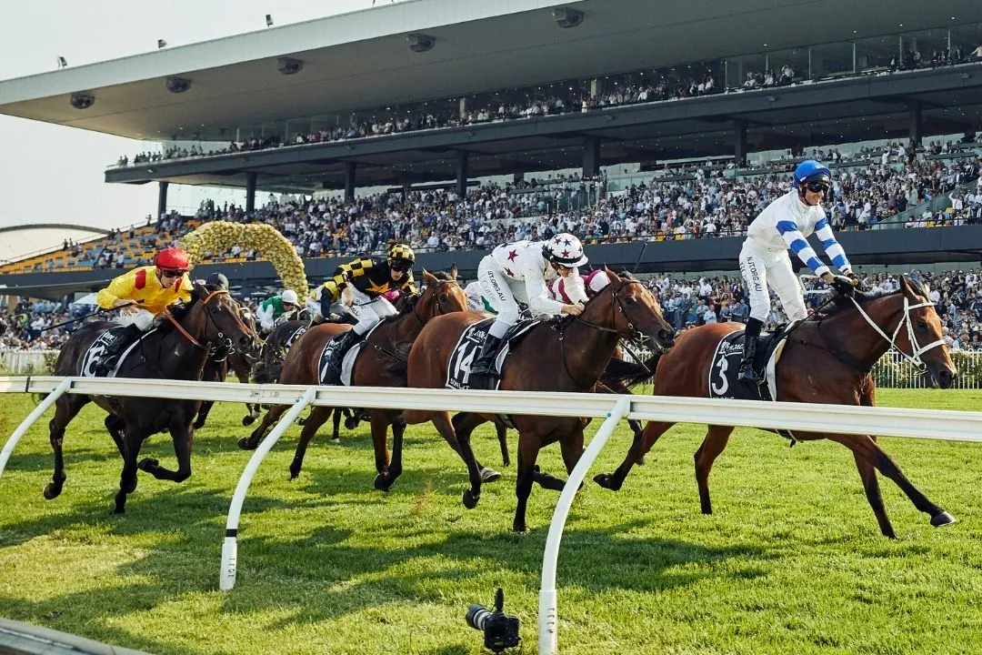 Rosehill Best Selection & Value Play 22/2 Image