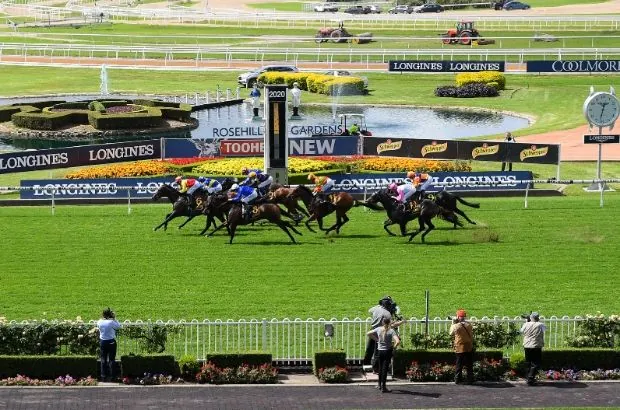 Rosehill Best Selection & Value Play 28/6 Image