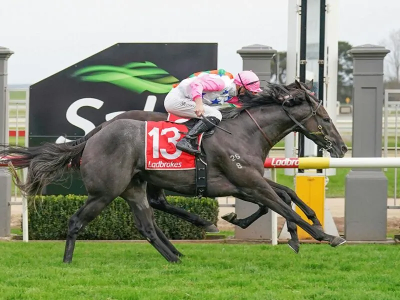 RACING: Sale Tips – Wednesday 8th October Image