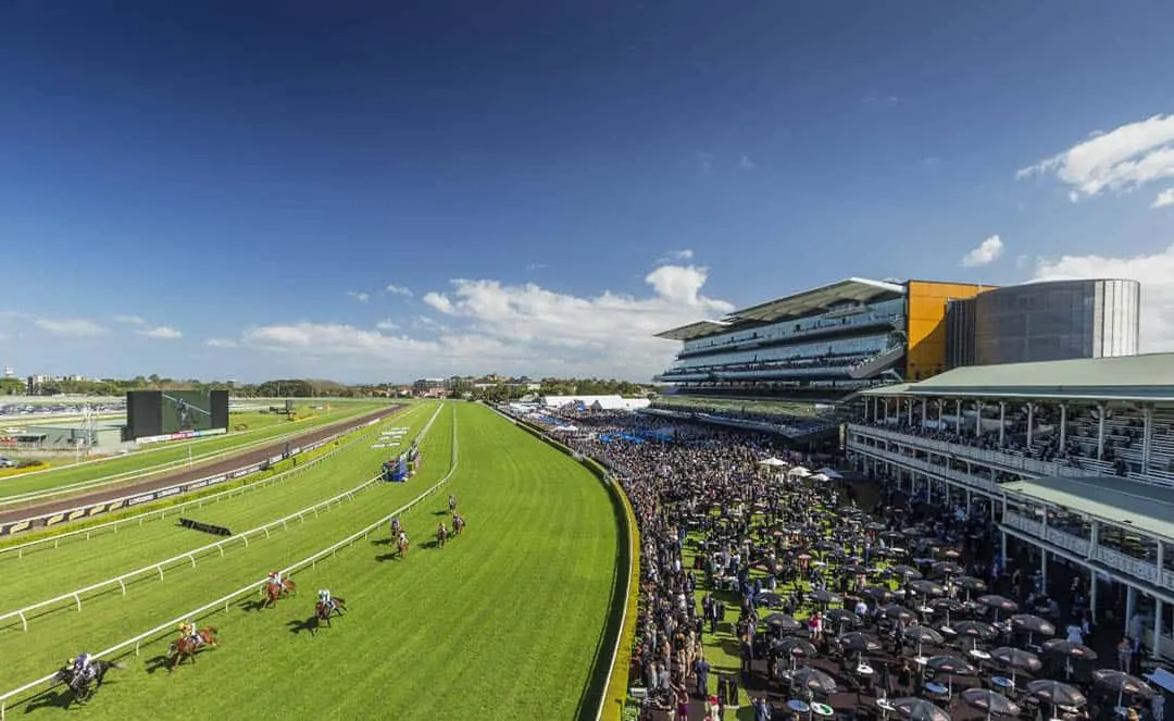 Randwick Best Selection & Value Play 19/4 Image