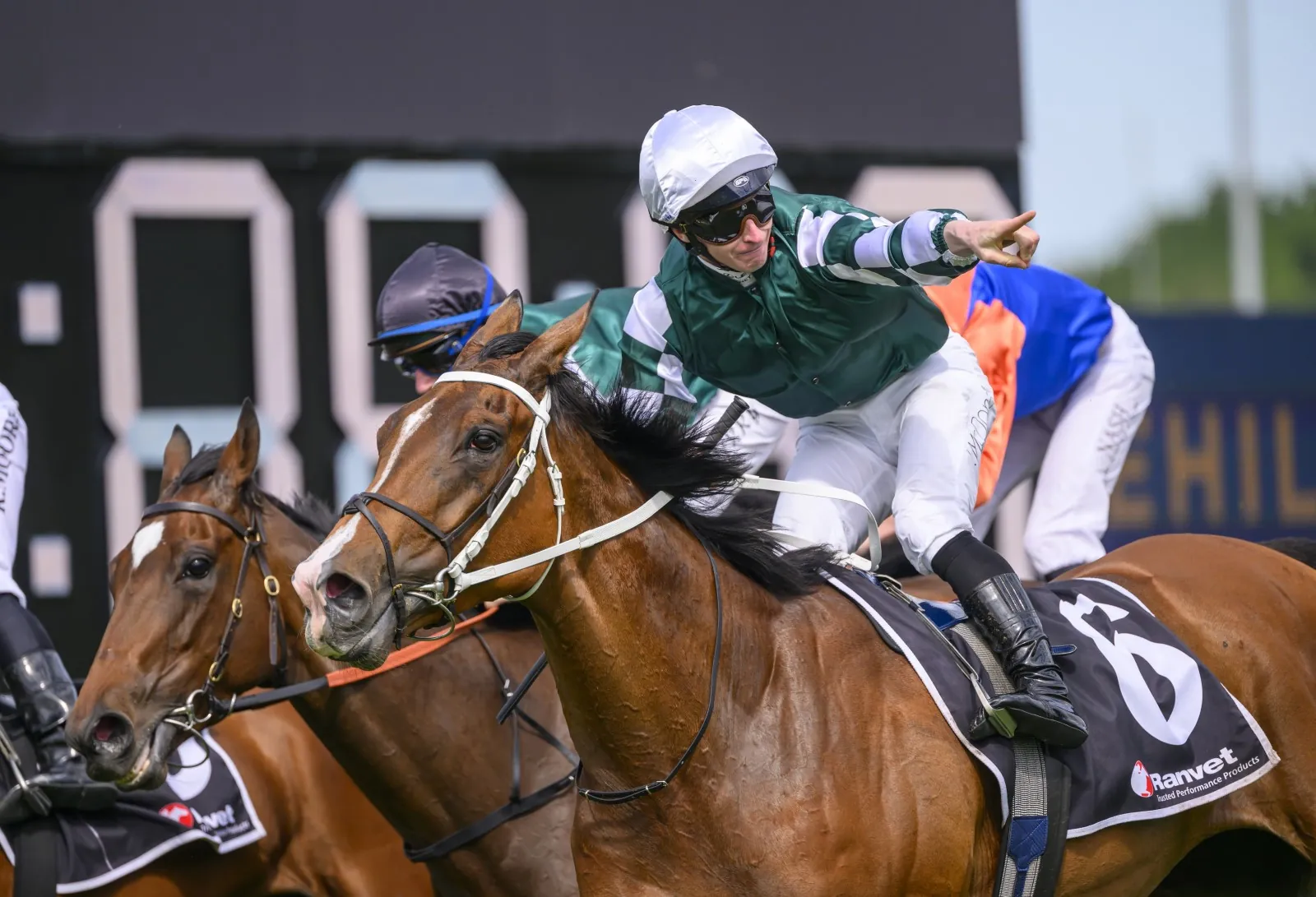 RACING: Saturday Specials From The Vault 29/11 Image