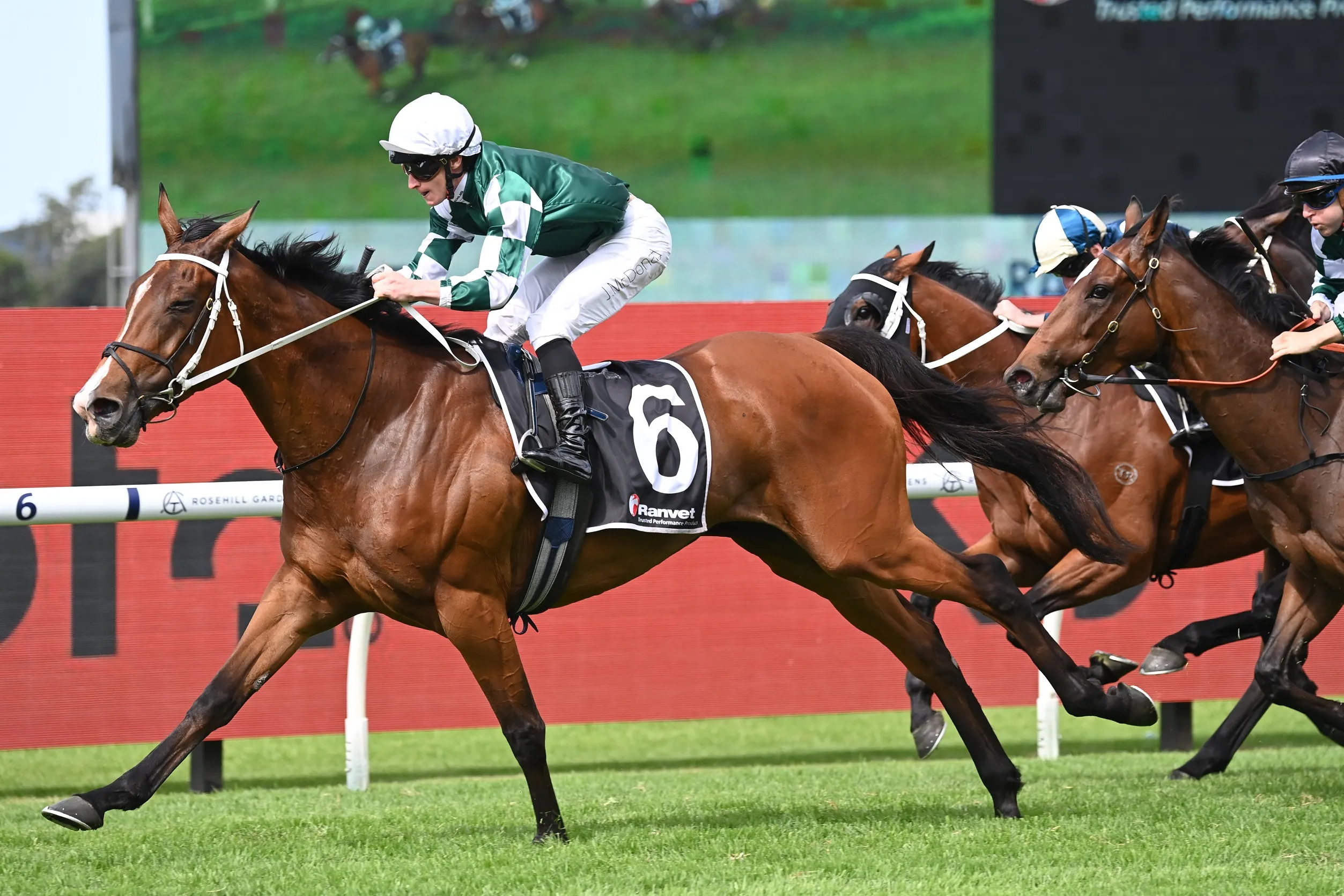 FREE: Randwick Tip Sheet & Staking Plan: Saturday 12th April Image