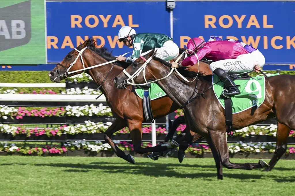 RACING: Randwick Tips – Saturday 23rd August Image