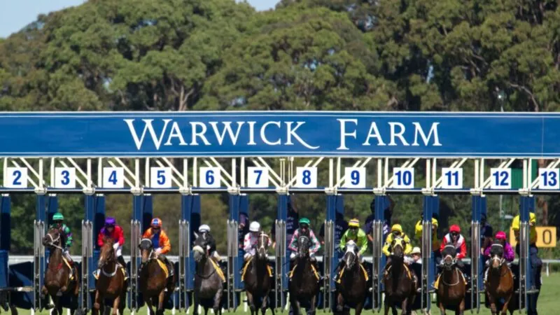 Rated To Win: A Horse We Rated Ready To Win At Warwick Farm 21/5 Image