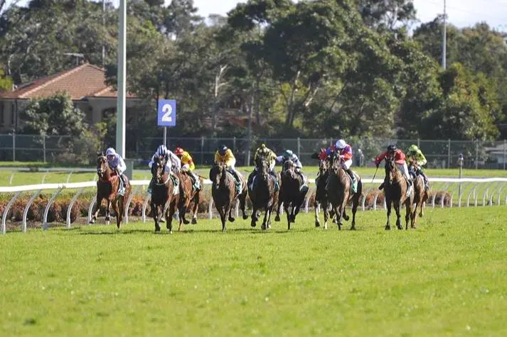 Black Book: Horses You Must Back Next Start From Canterbury 17/9 Image