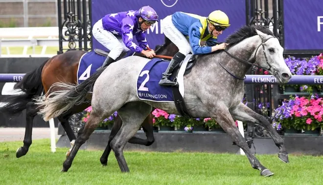 RACING: Flemington Tips – Saturday 2nd August Image