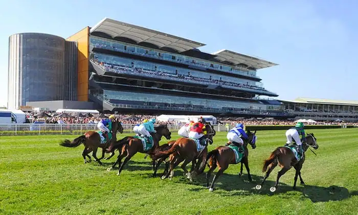 Rated To Win: A Horse We Rated Ready To Win – Randwick 21/6 Image