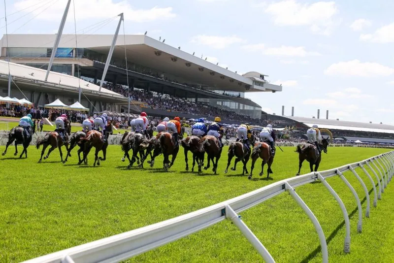 RACING: Our Rosehill Multi 16/8 Image