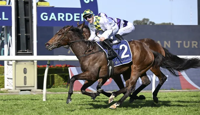 FREE: Randwick Tip Sheet & Staking Plan: Saturday 8th March Image