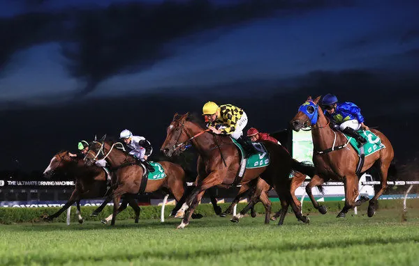 Our BlackBook: Horses Running Today & Staking Plan 28/2 Image