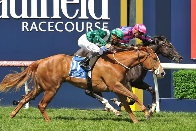 Listed Inglis Debutant Stakes Preview & Analysis Image