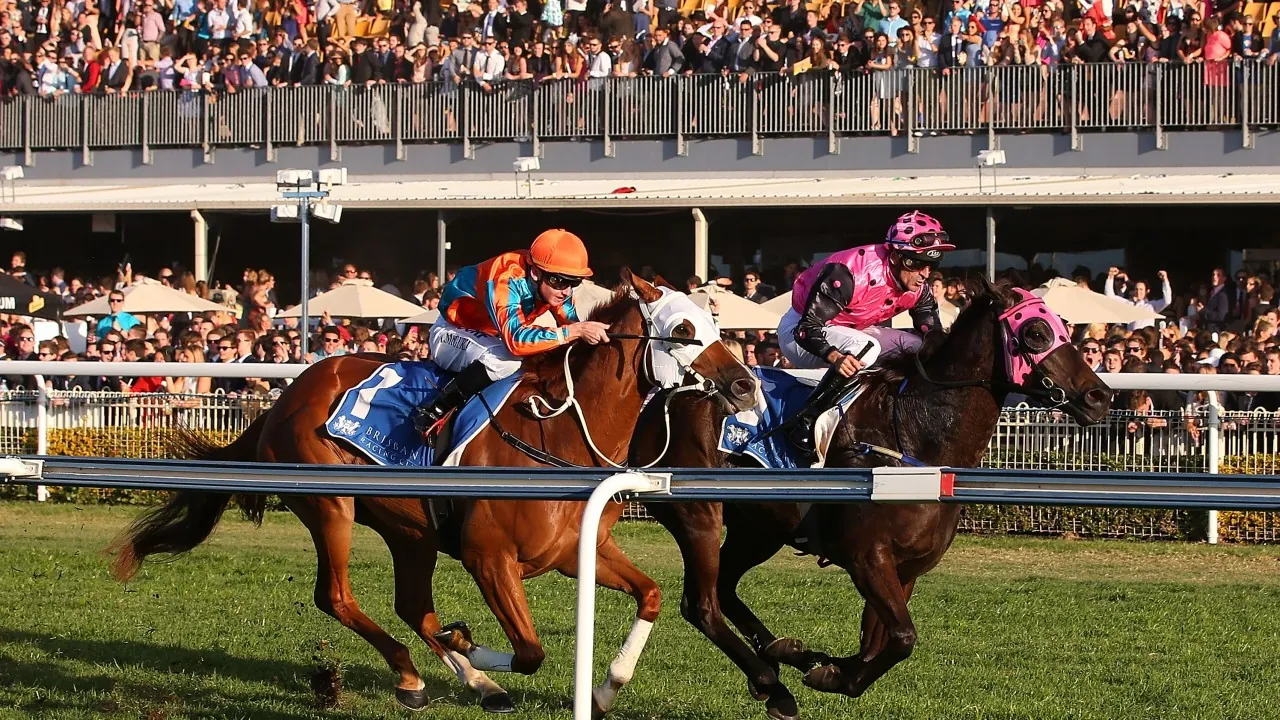 FREE: Doomben Tip Sheet & Staking Plan: Wednesday 29th July Image