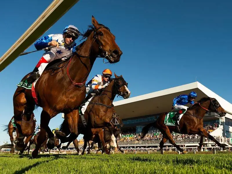 FREE: Doomben Tip Sheet & Staking Plan: Wednesday 1st July Image