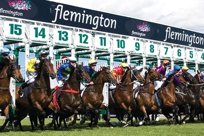 RACING: Flemington Best Selection & Value Play 17/1 Image