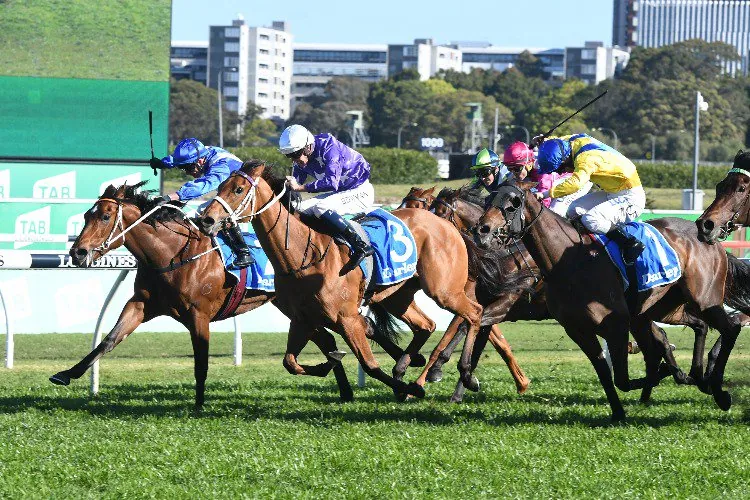 Warwick Farm Tip Sheet & Staking Plan – Wednesday 8th April Image