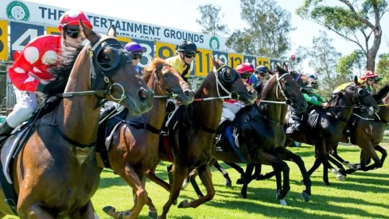 Rosehill Tip Sheet & Staking Plan – Saturday 14th March Image