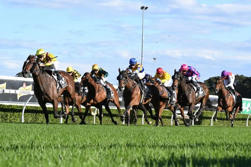 Randwick Tip Sheet & Staking Plan – Saturday 14th December Image