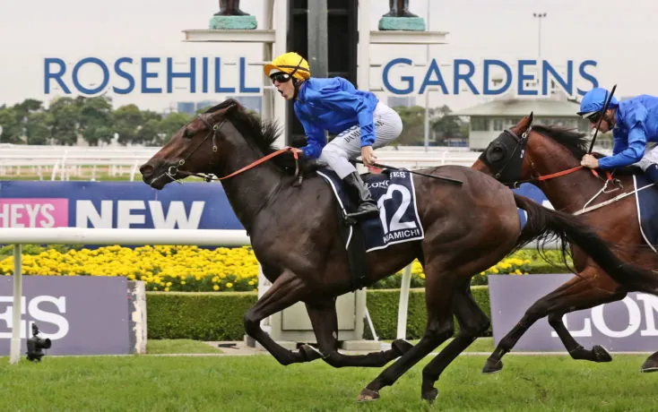 Rosehill Tip Sheet & Staking Plan: Saturday 13th June Image