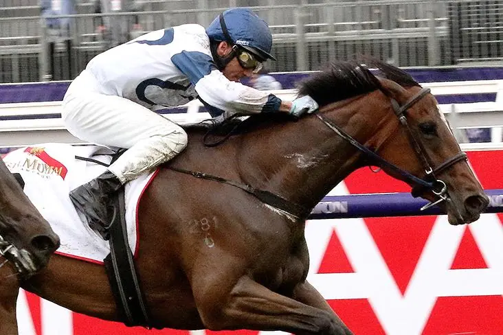 VRC Oaks Review: What The Jockeys Said Image