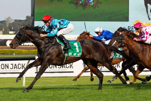 Redzel Stakes Review: What The Jockeys Said Image