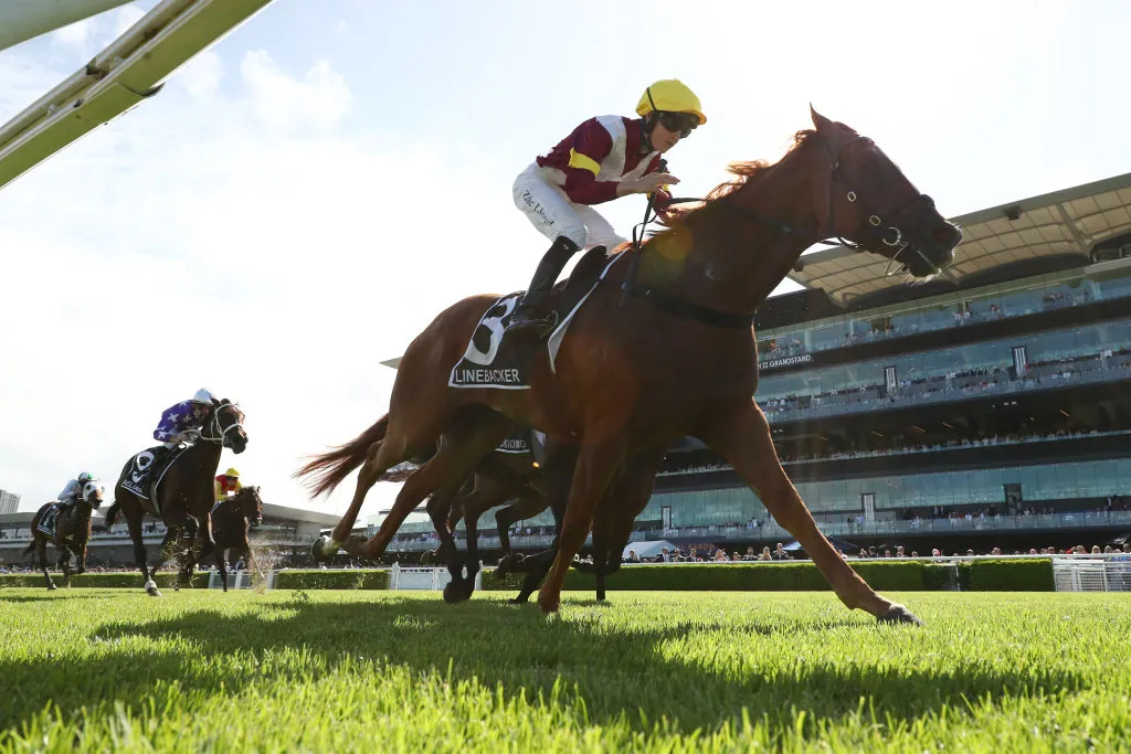 RACING: Saturday Specials You Must Back 17/1 Image
