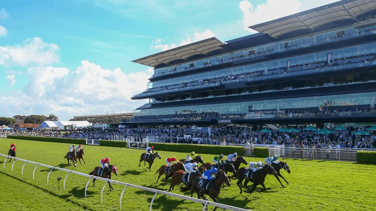 Bondi Stakes Day Review: Horses You Must Follow Next Start Image