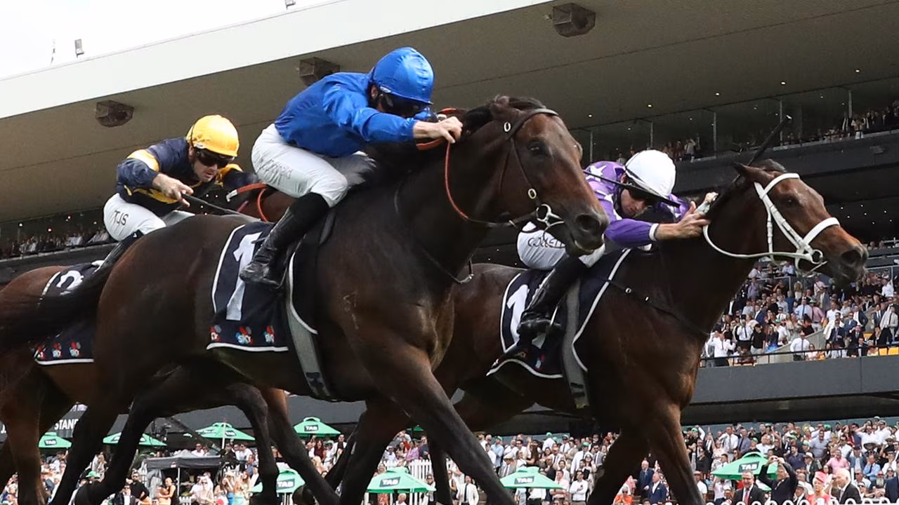 RACING: Rosehill Specials From The Vault 7/12 Image