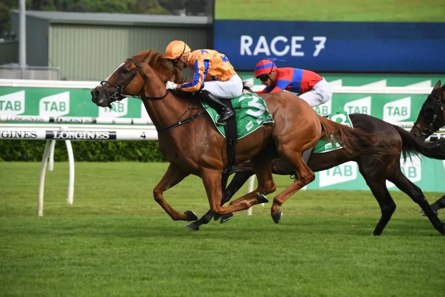 Rosehill Tip Sheet & Staking Plan – Wednesday 1st April Image
