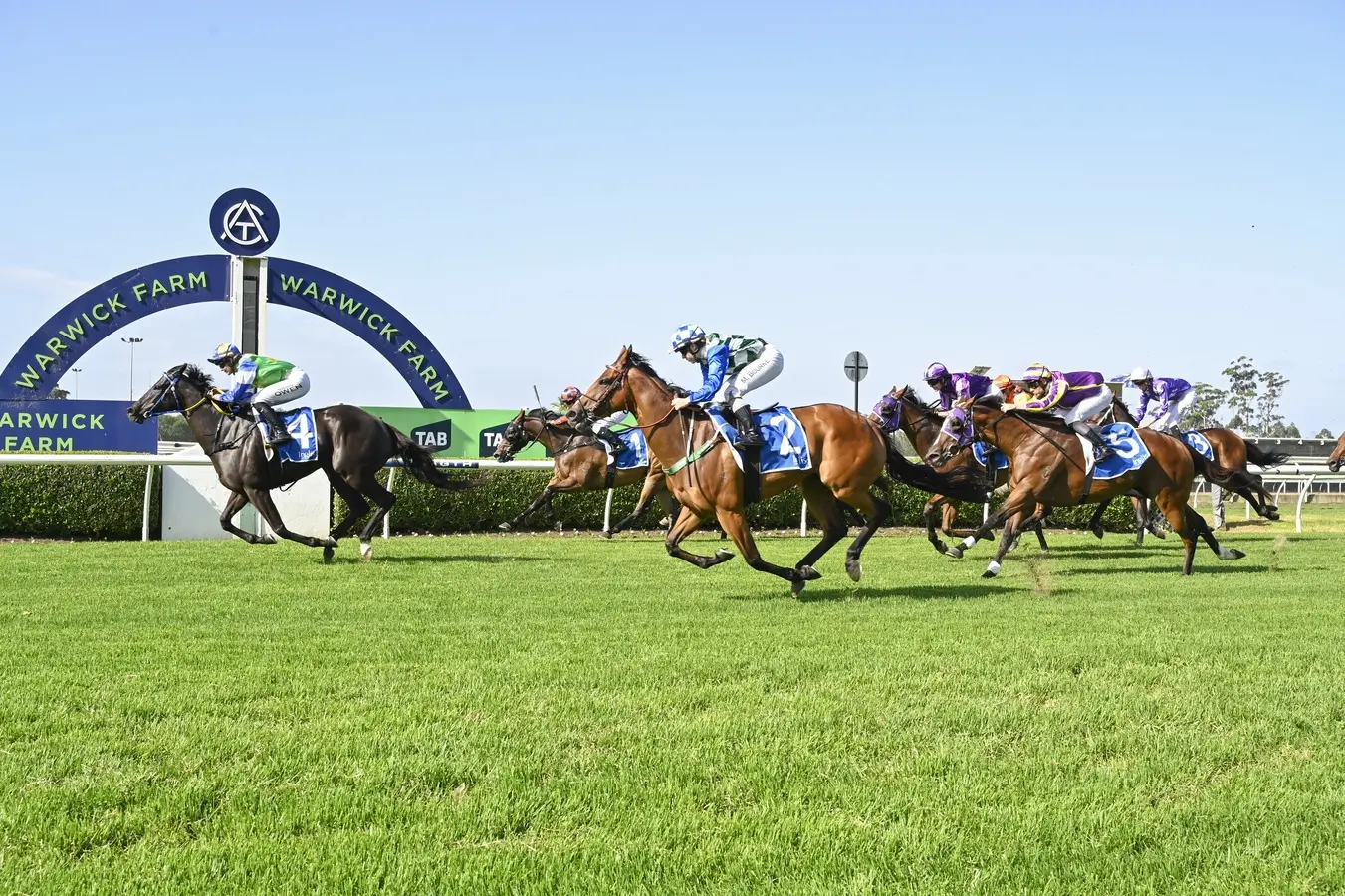 RACING: Warwick Farm Tips – Wednesday 17th December Image