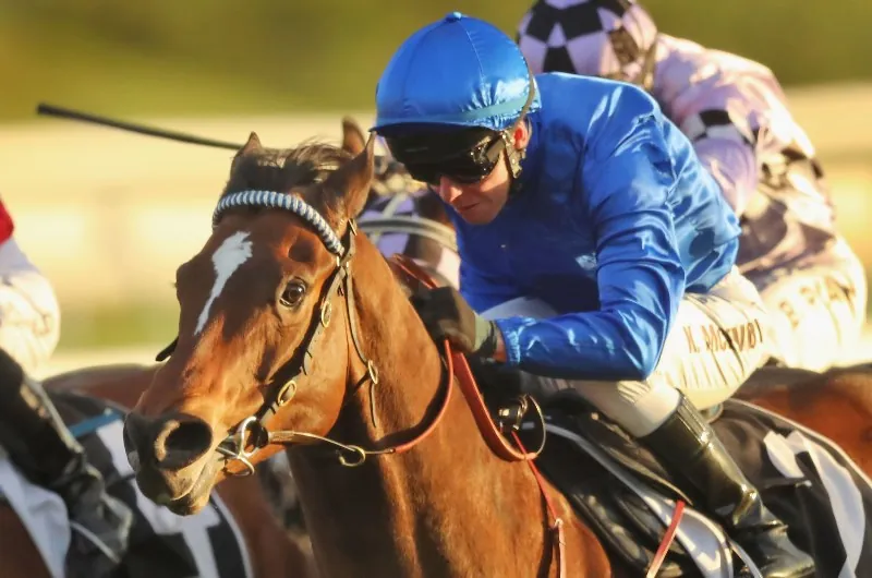 Winterbottom Stakes Preview: Speed Map, Analysis & Selections Image