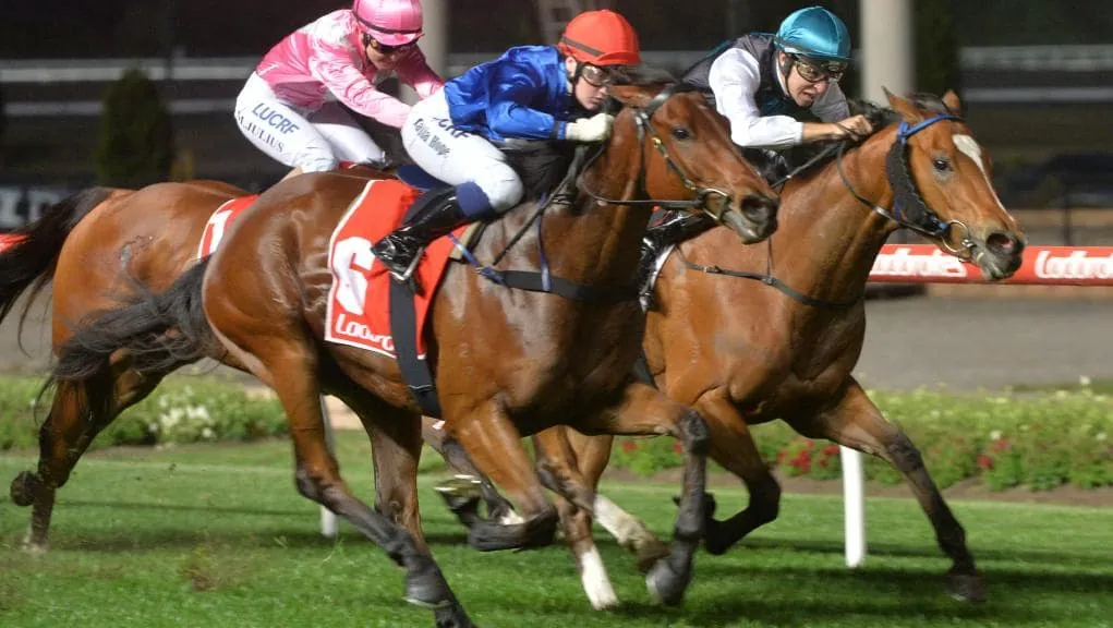 Moonee Valley Rapidfire Preview & Selections Image