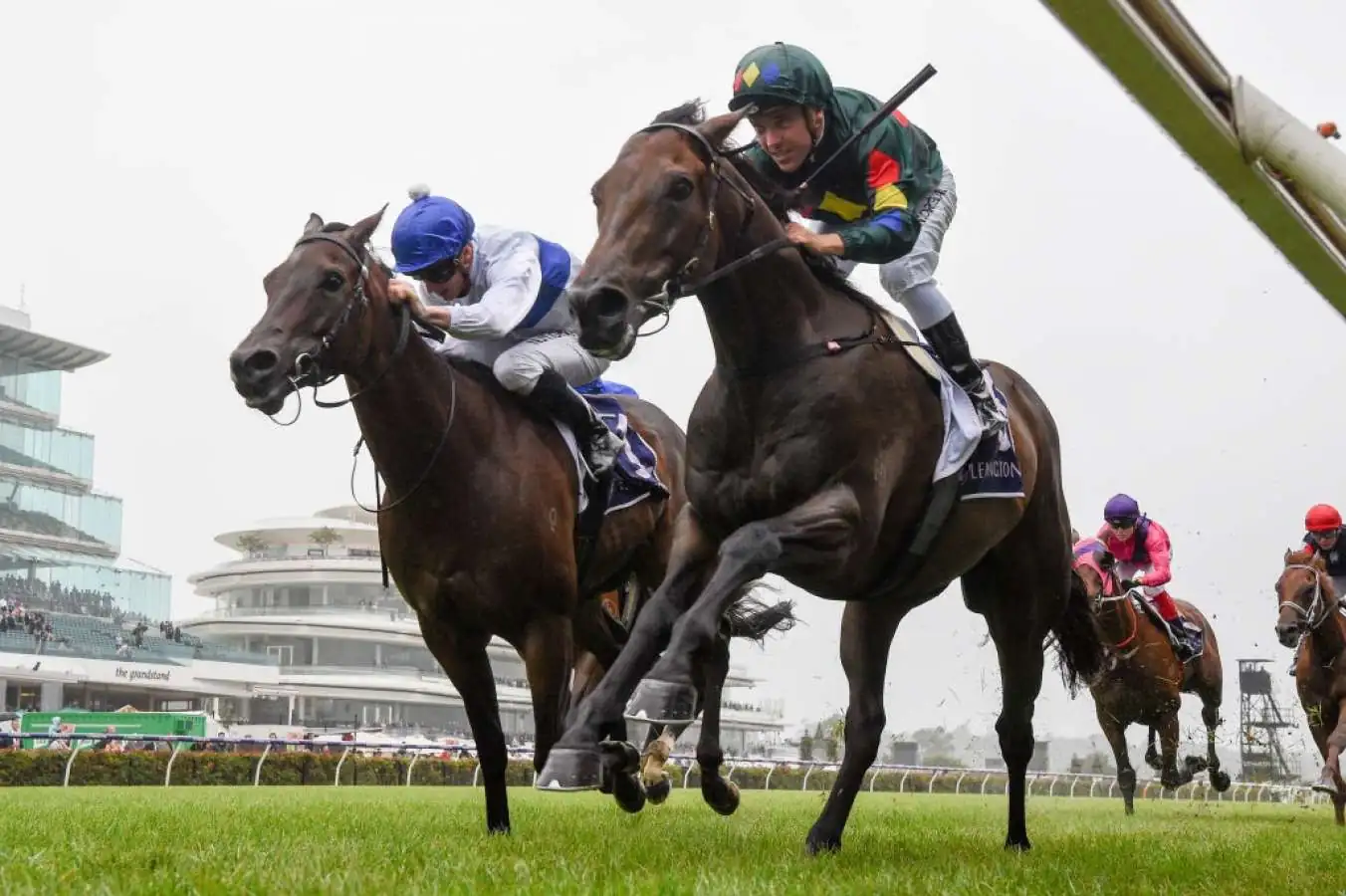 Group 1 Australian Guineas Preview: Speedmap, Analysis & Selections Image