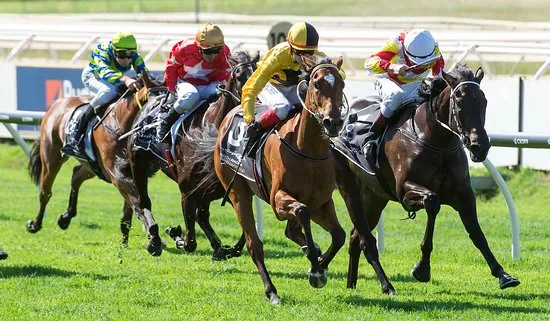 FREE: Belmont Tip Sheet & Staking Plan – Wednesday 1st July Image