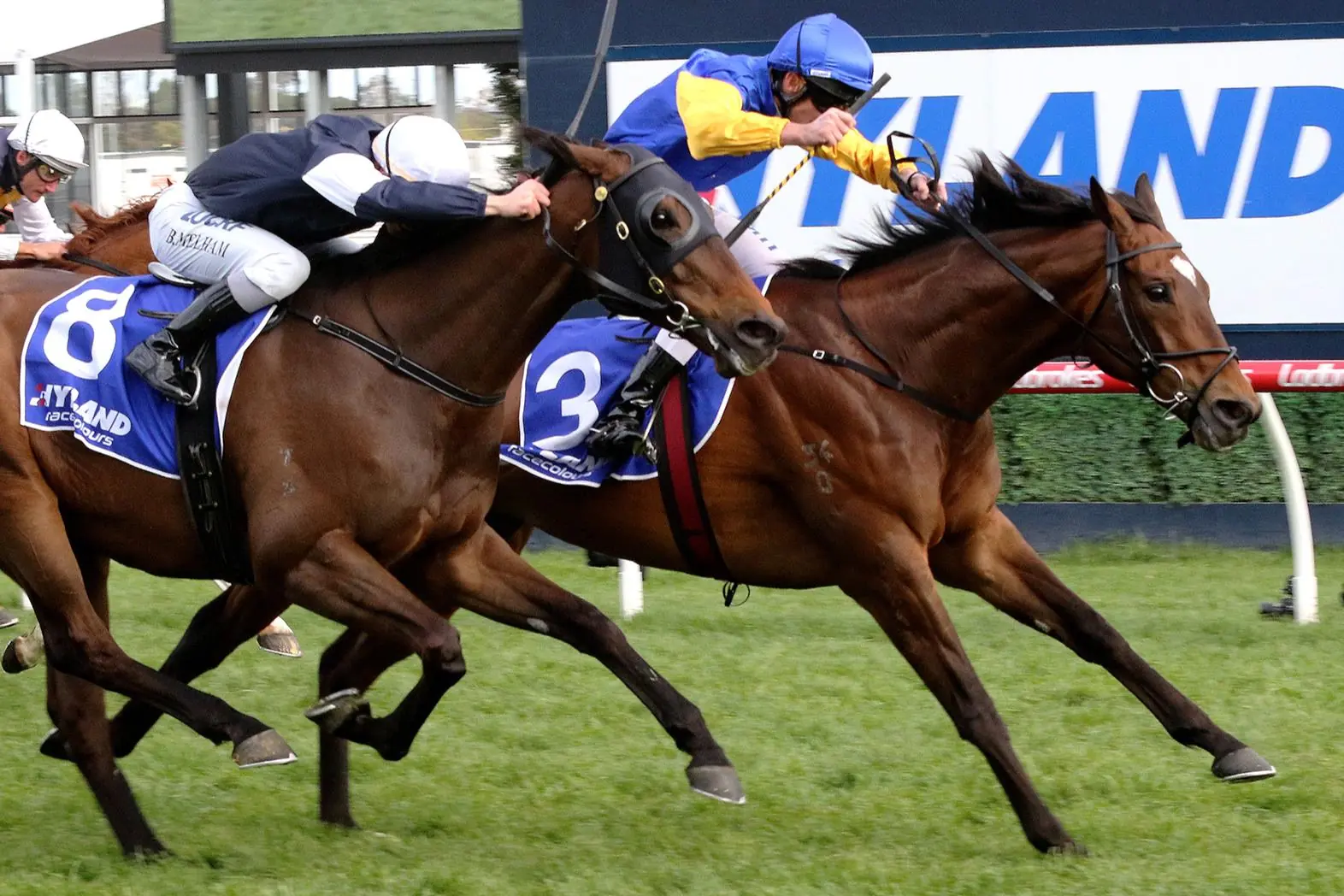 G1 Underwood Stakes Review: What The Jockeys Said Image