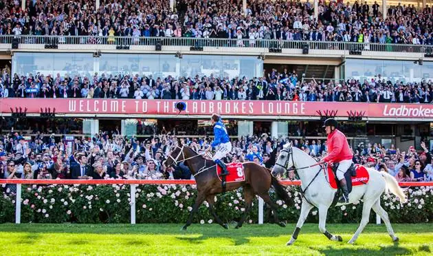 Moonee Valley Tip Sheet & Staking Plan: Saturday 1st August Image