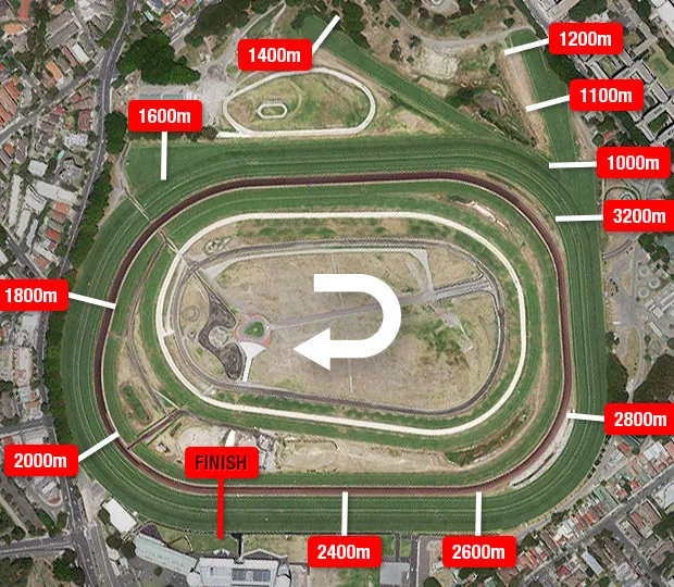Randwick