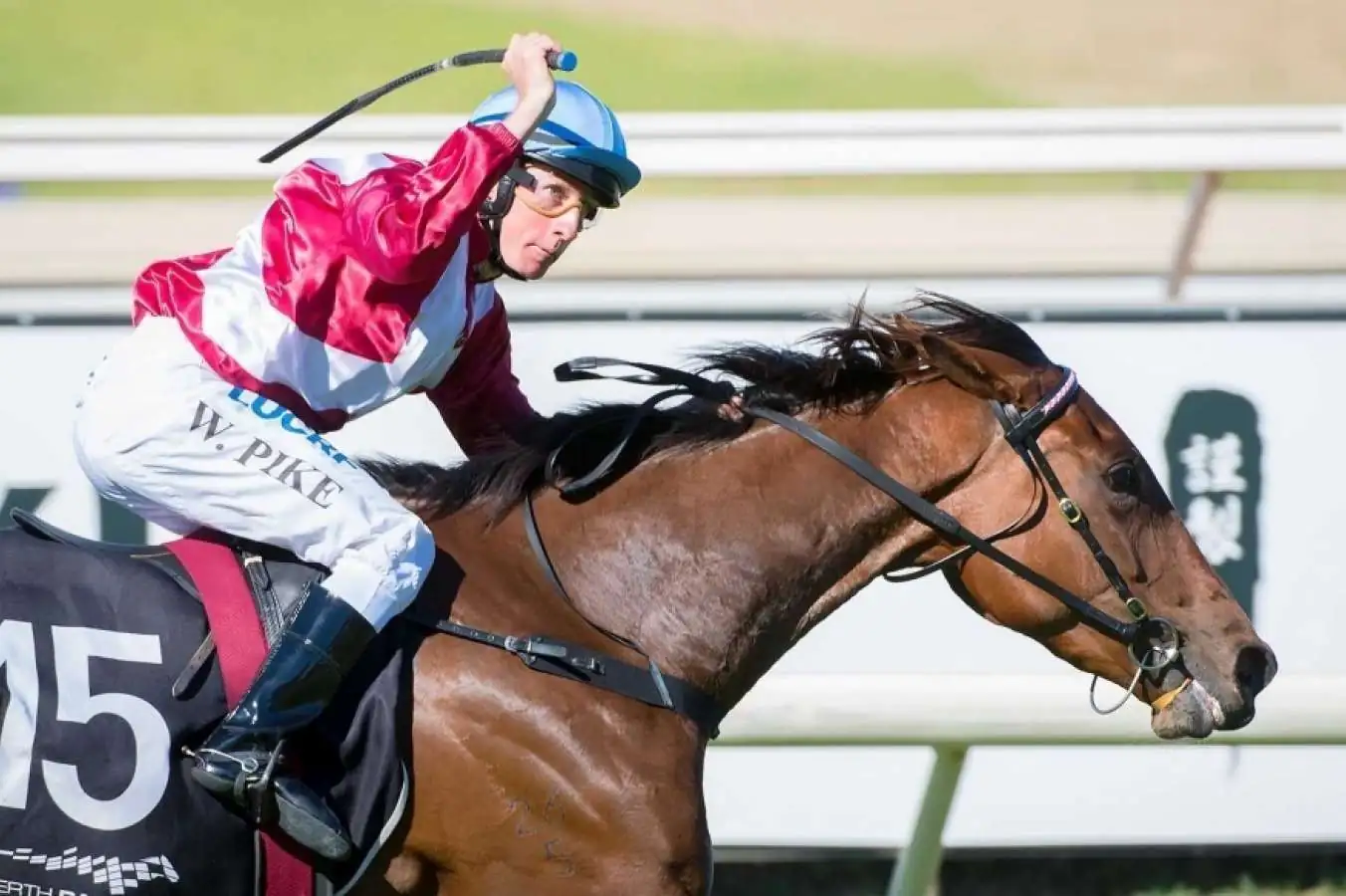 Horses to Follow : Belmont Saturday 4th July Image