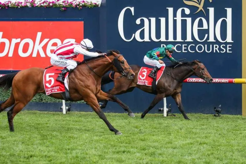 FREE: Caulfield Tip Sheet & Staking Plan: Saturday 11th July Image