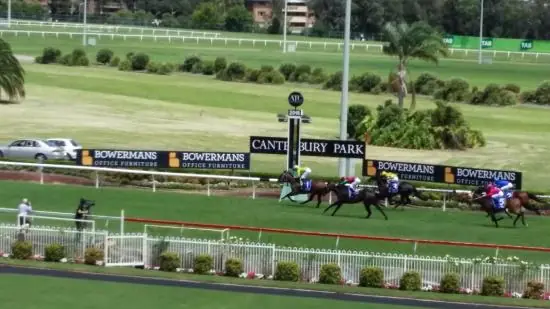 Canterbury Tip Sheet & Staking Plan : Canterbury 22nd April Image